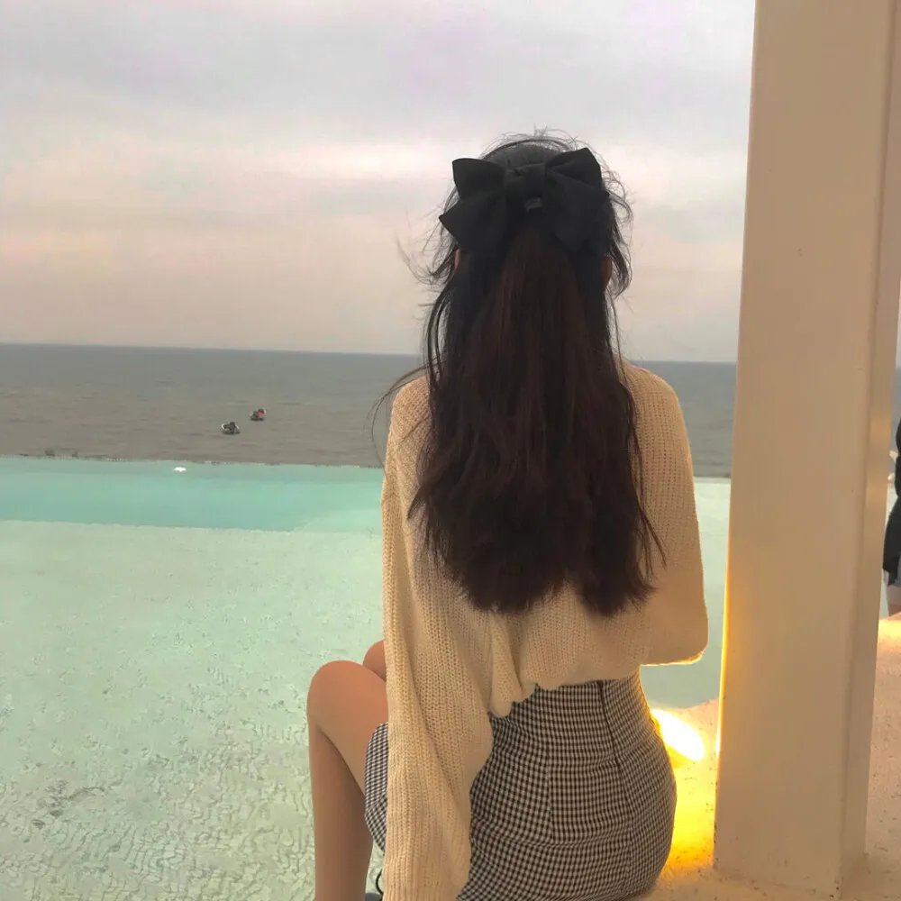 茶花彝女封面