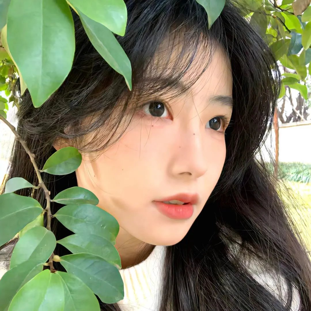 山羊和狼封面